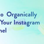 How to grow followers organically
